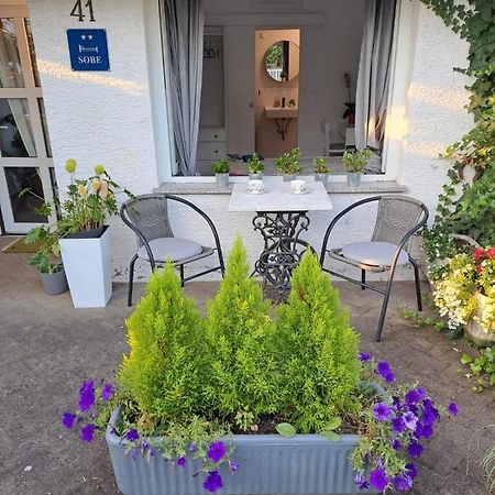 Soba Dvori Apartment Zapresic Bagian luar foto