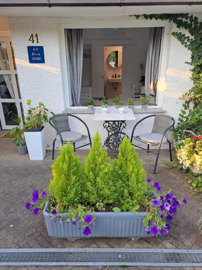 Soba Dvori Apartment Zapresic Bagian luar foto