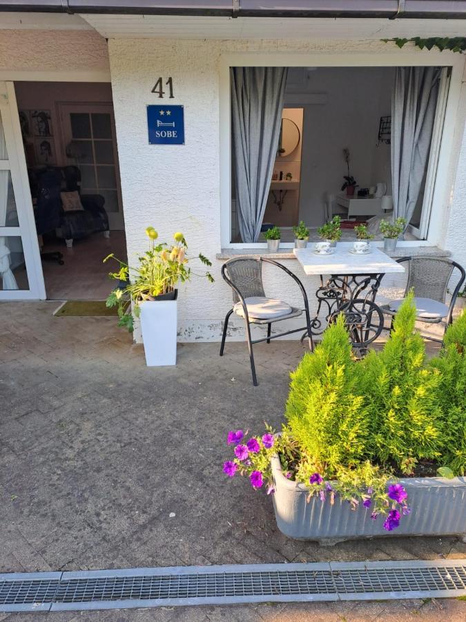 Soba Dvori Apartment Zapresic Bagian luar foto